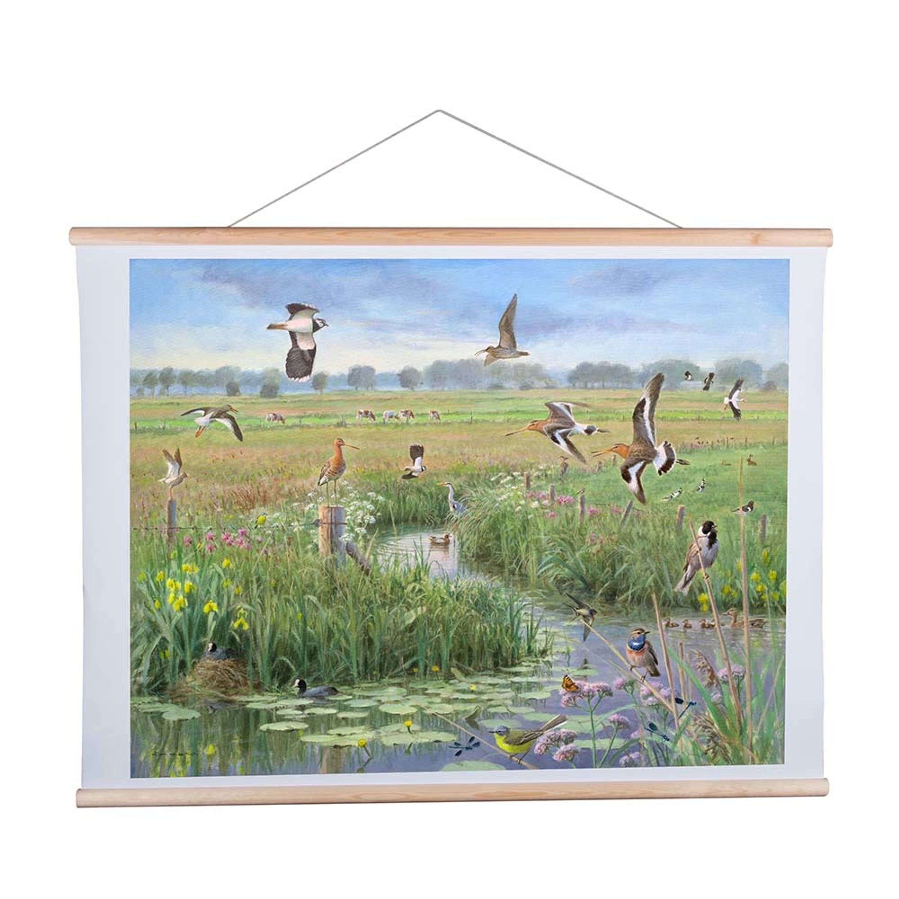 Poster in de weide - Elwin van der Kolk | CJ Wildlife