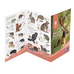 National Trust Mammal ID Chart