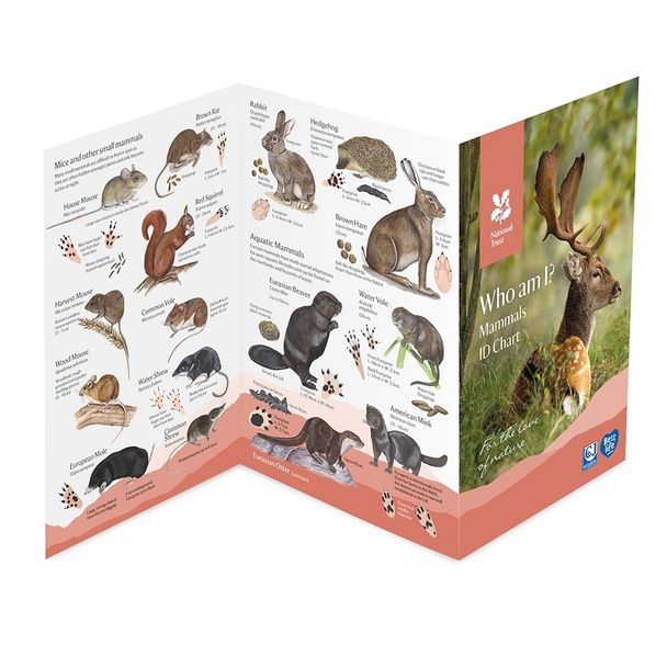 National Trust Mammal ID Chart