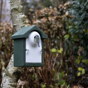 Birdlife Österreich Nistkasten „Sevilla“ WoodStone 28 mm