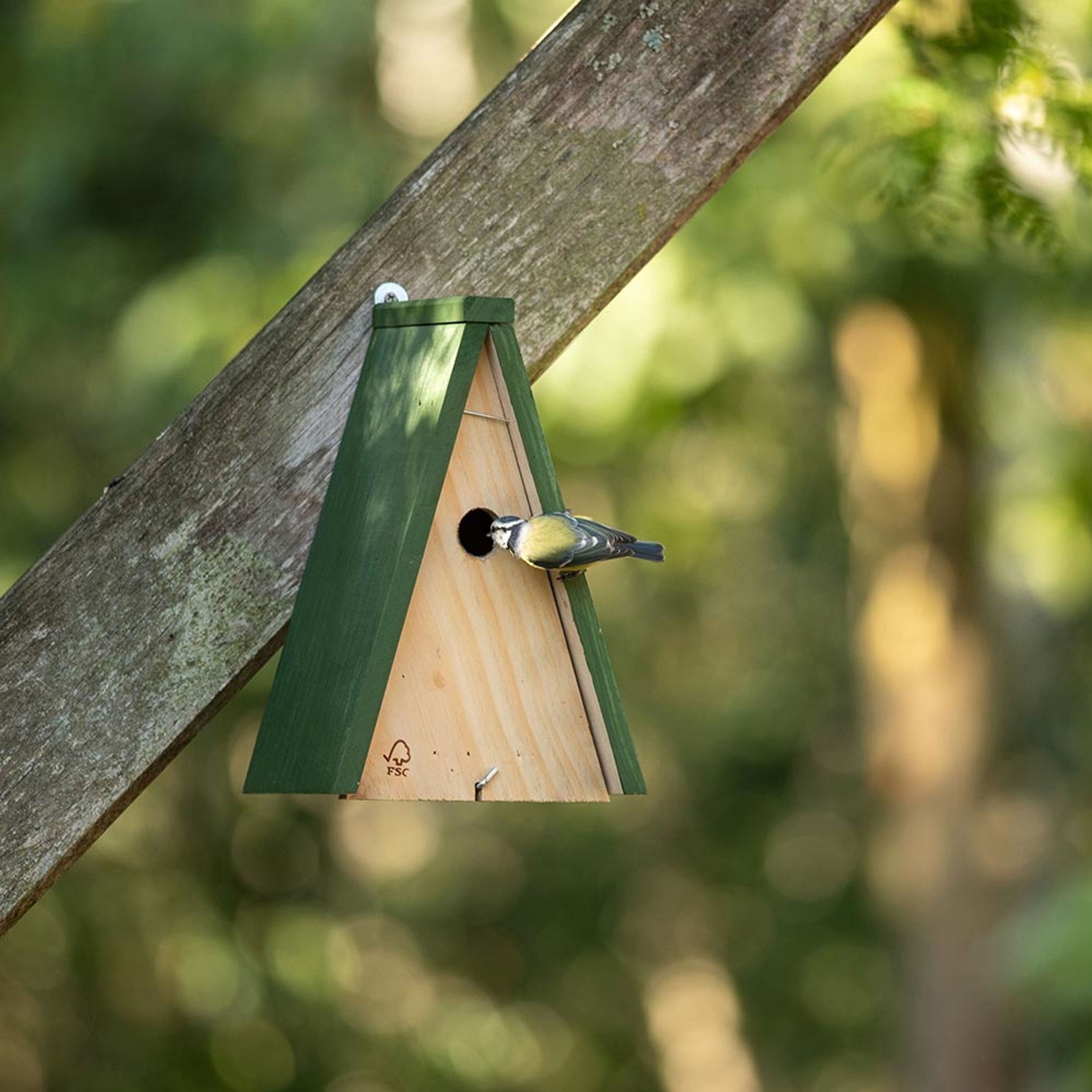 Nestkastje Koolmeesje | Geschikt voor mezen: pimpelmees, zwarte mees, kuifmees, koolmees, maar ook i