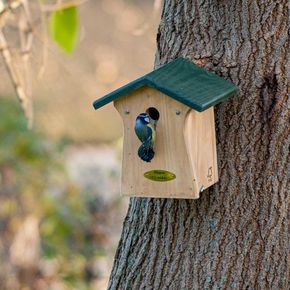 Redekasse Bonaire 28 mm