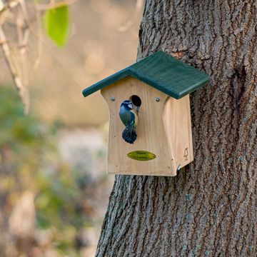 Nichoir Bonaire 28 mm