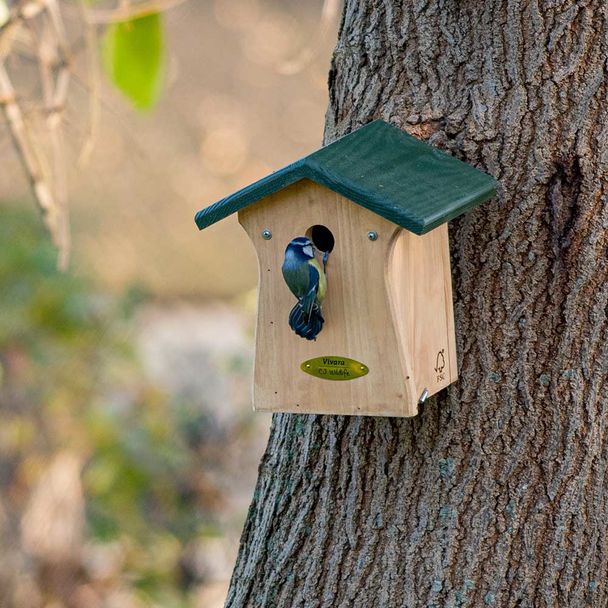 Bonaire 28mm Nest Box