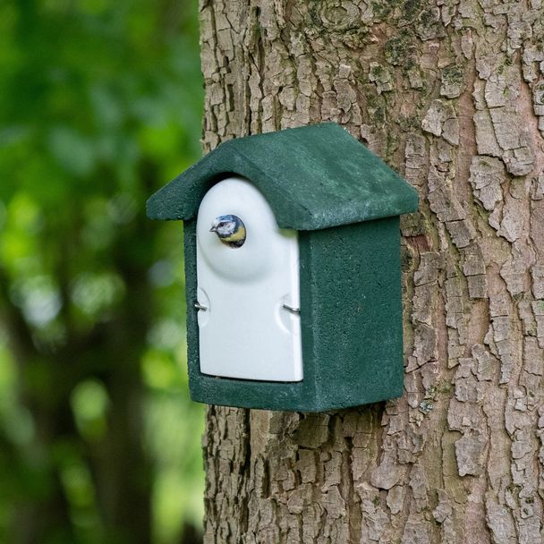 National Trust WoodStone 28mm Nest Box - Green