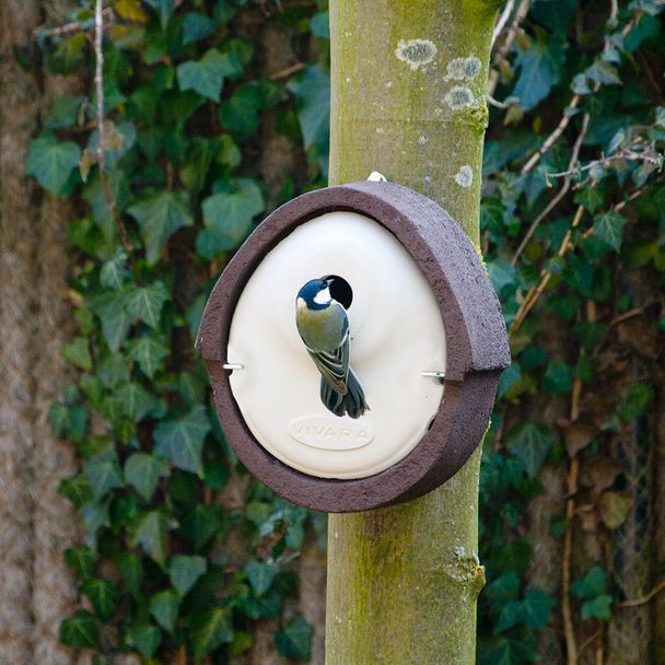 WoodStone Alicante 28mm Nest Box - Brown