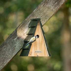 National Trust Aspen Larch 28mm Nest Box