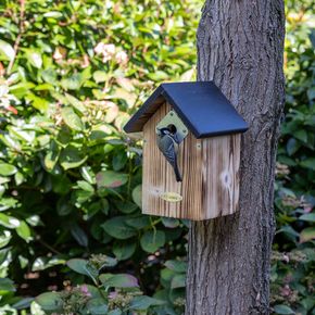 Nistkasten Bandera 28 mm mit Räuberschutz