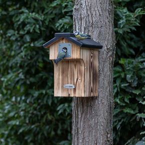 Nistkasten Galveston 28 mm mit Räuberschutz