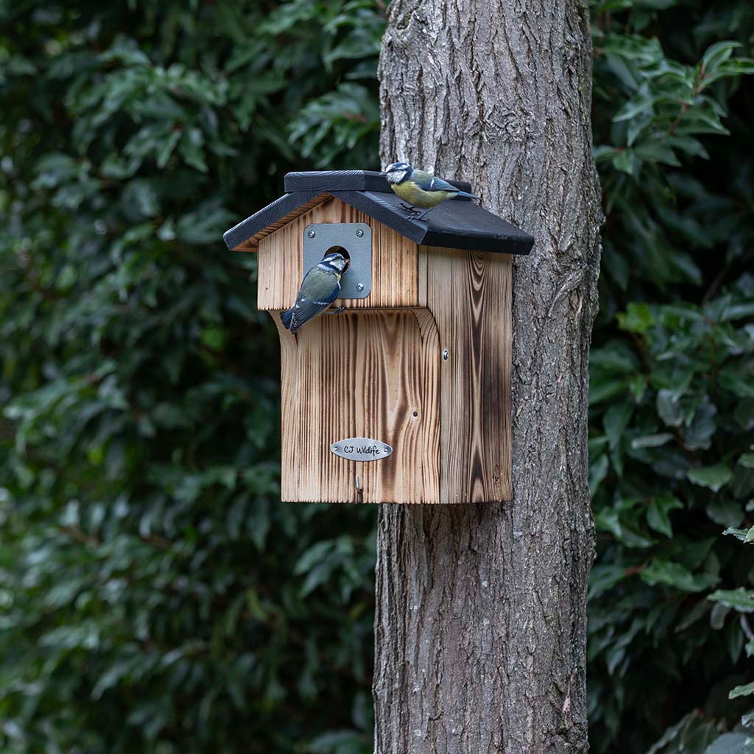 Comparer les prix de Protector Nichoir Galveston 28mm | CJ Wildlife