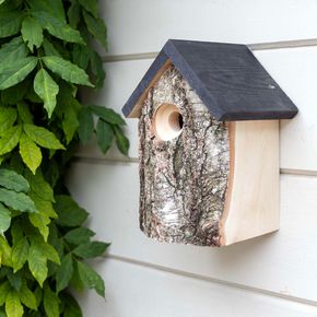 CJ Kingston Birch Nest Box 28mm