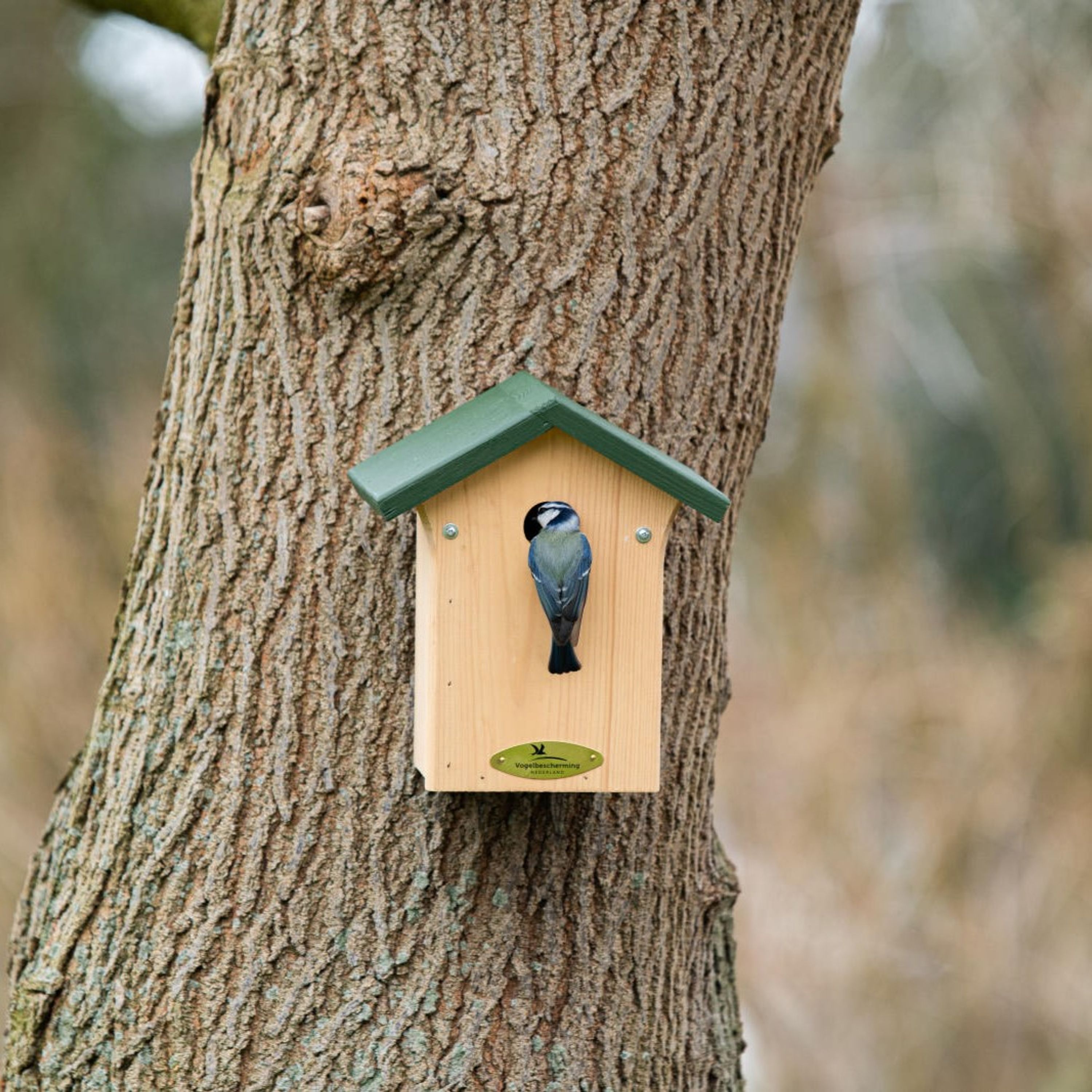 Nestkast voor de Pimpelmees 28 mm |  | Vogelbescherming Nederland