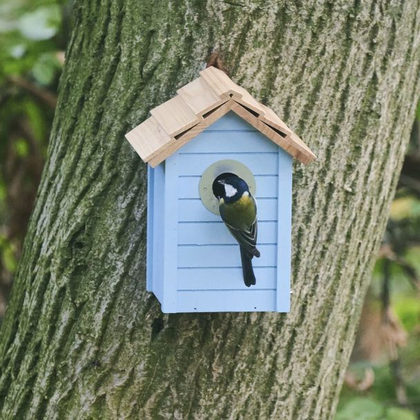 Beach Nest Box 32 mm - Light Blue