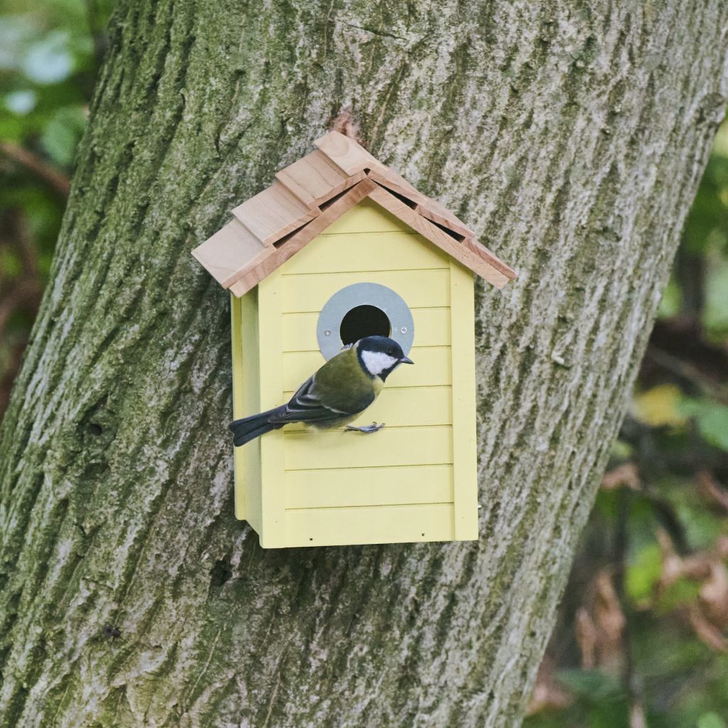 Boltze Vogelhuisje - groen met wit dak - hout nestkastje - 22 cm | Fun
