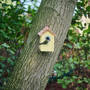 Nestkast Beach - licht geel 32 mm