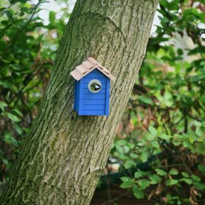 Nestkast Beach - donker blauw 32 mm