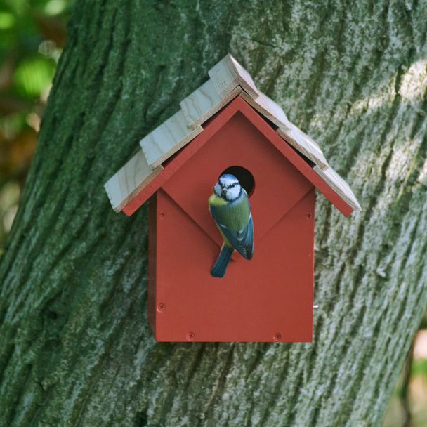 Diamond Nest Box 32 mm - Red