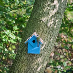 Diamond Nest Box 32 mm - Blue