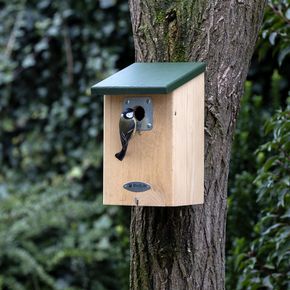 Birdlife Österreich Nistkasten „Wien“ 32 mm mit Schutzplatte