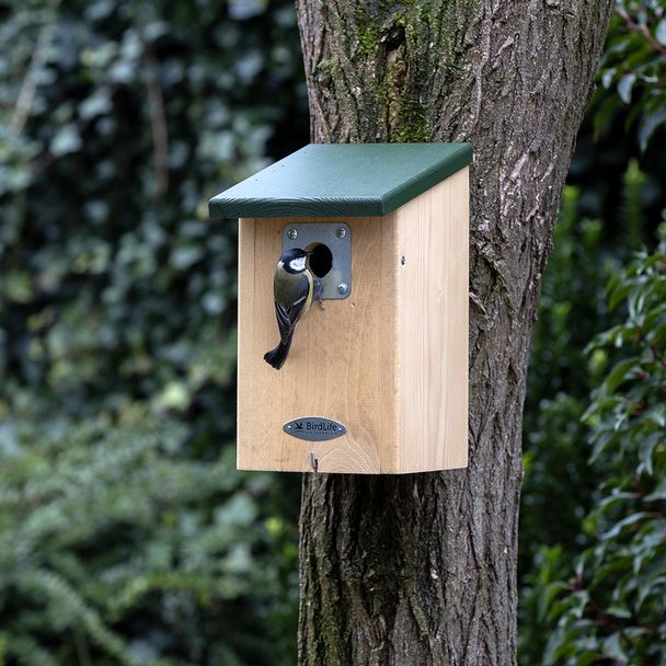 Birdlife Österreich Nistkasten „Wien“ 32 mm mit Schutzplatte