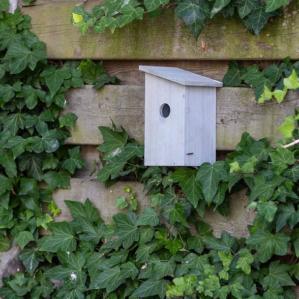 Gifts4Nature Nestbox - Grey