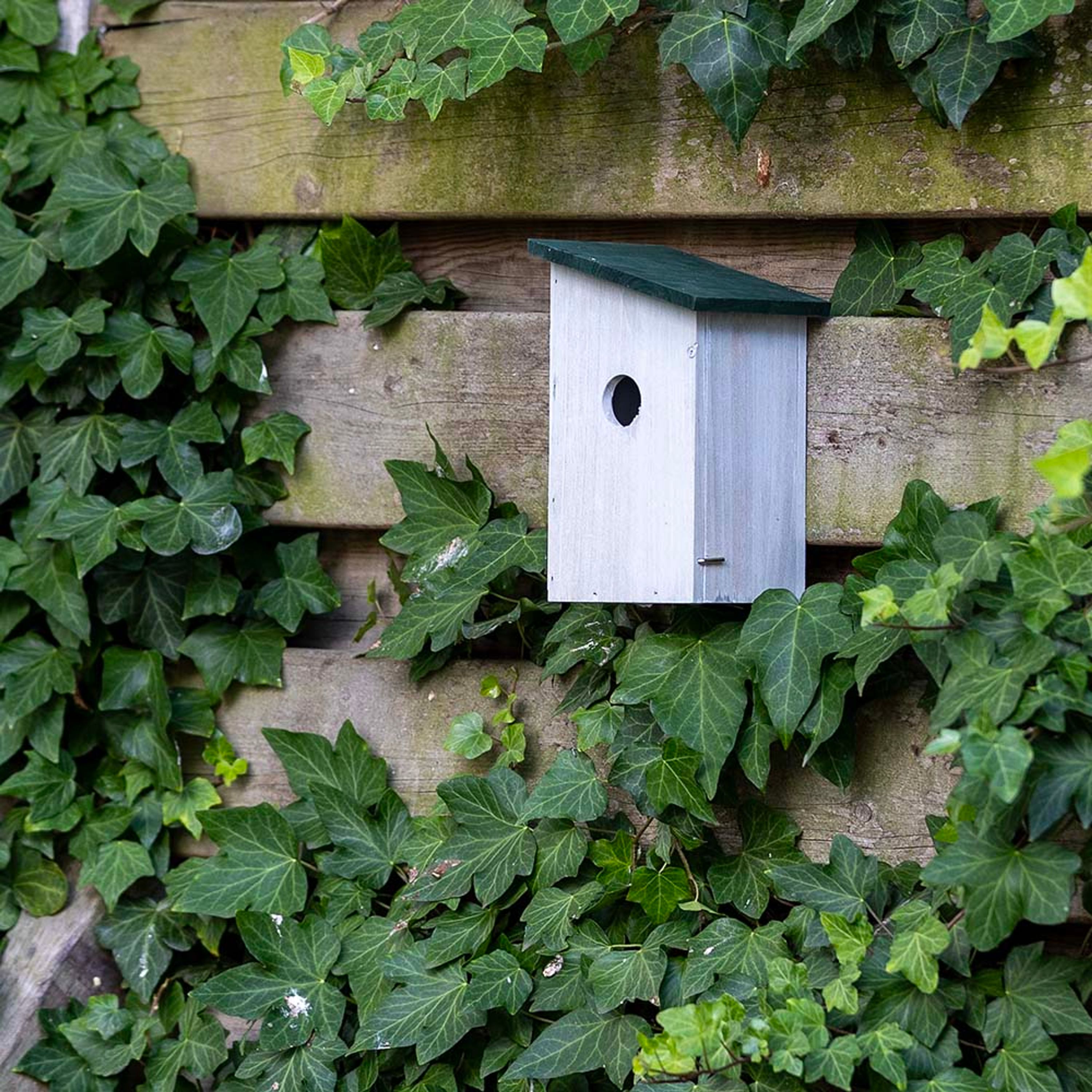 Gifts4Nature Nestkast - grijs - groen 32mm |  | Gifts4Nature