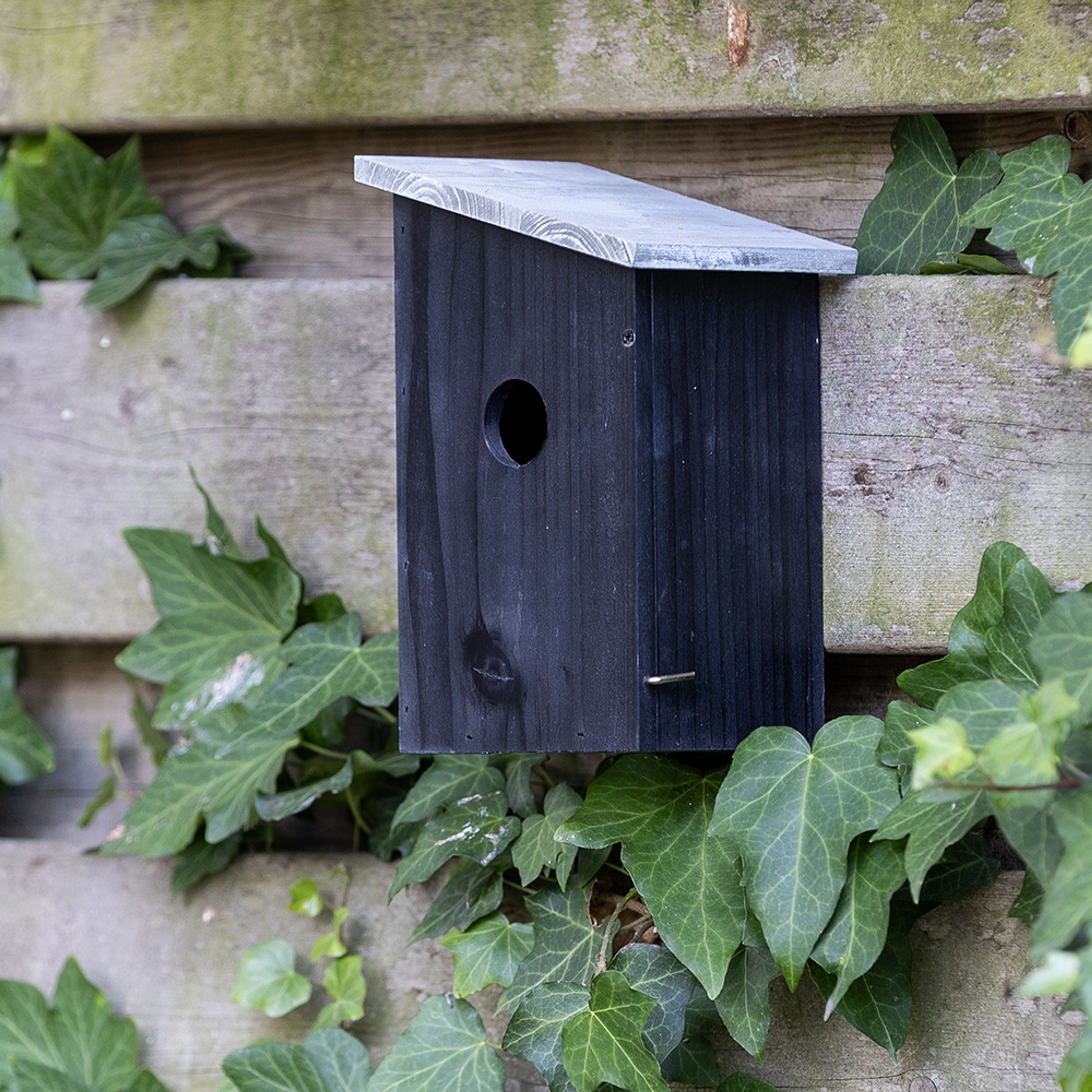 Gifts4Nature Nestkast - zwart - grijs 32mm |  | Gifts4Nature