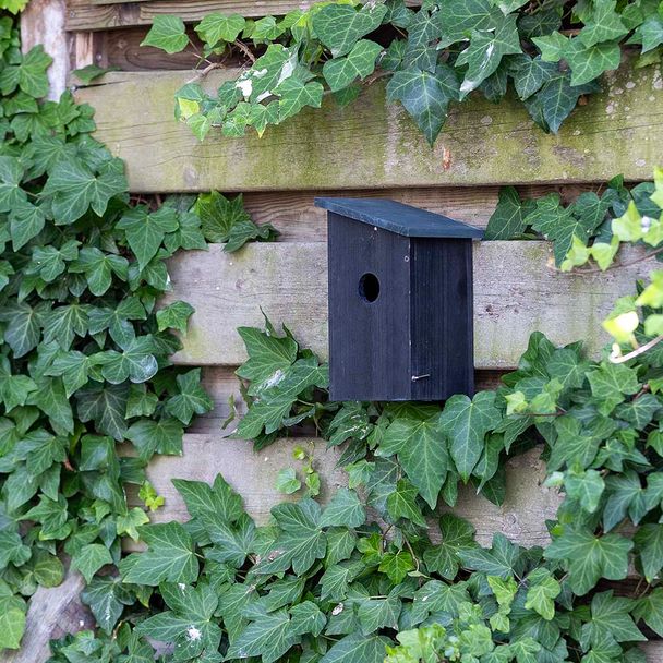 Gifts4Nature Nestbox - Black/Dark Grey