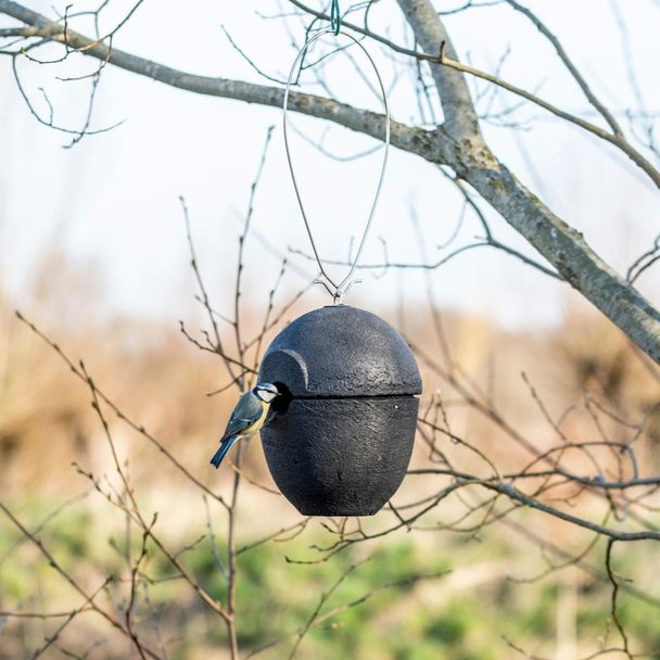 Hängande fågelholk Malaga WoodStone® 32 mm (Svart) 