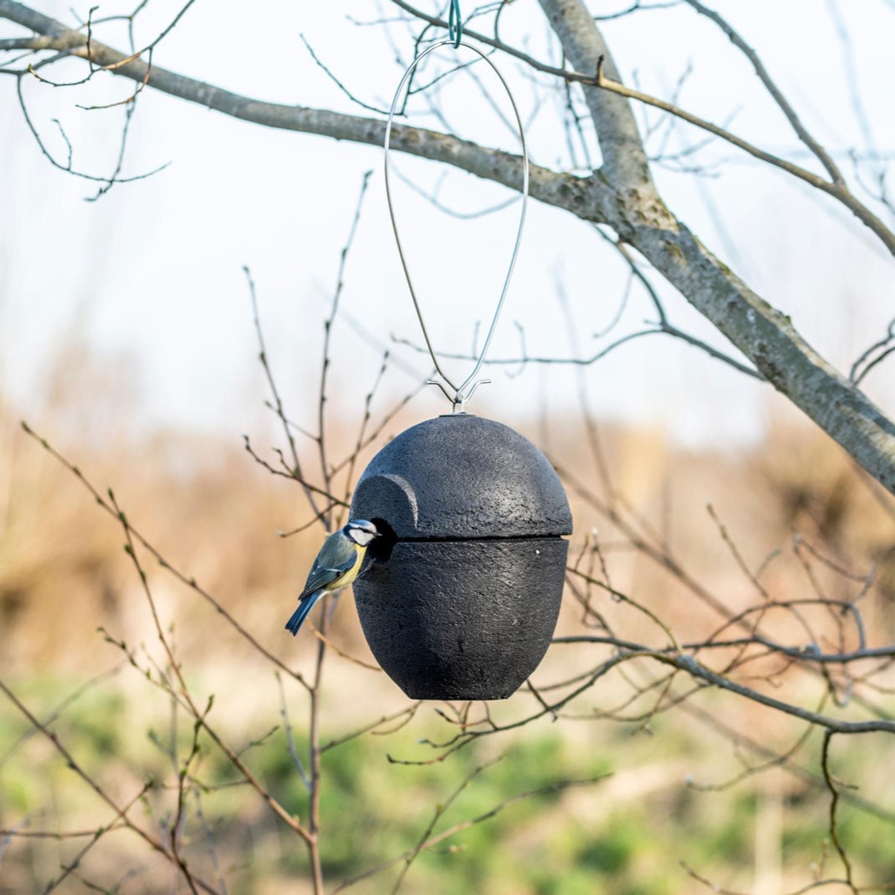 Comparer les prix de Nichoir Malaga WoodStone 32mm noir | Nichoir oiseaux | Nichoir Unique | Matériau Innovant | Beton de bois | Vivara