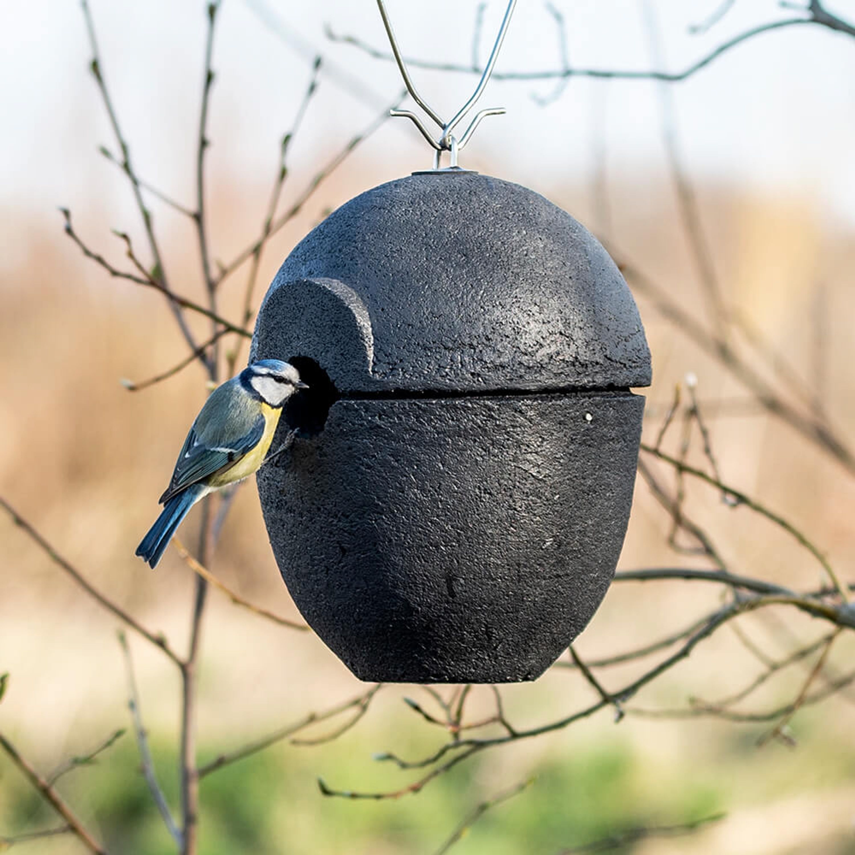 WoodStone-Nistkasten „Malaga“ 32 mm schwarz | Vogelhaus Holzbeton | CJ Wildlife