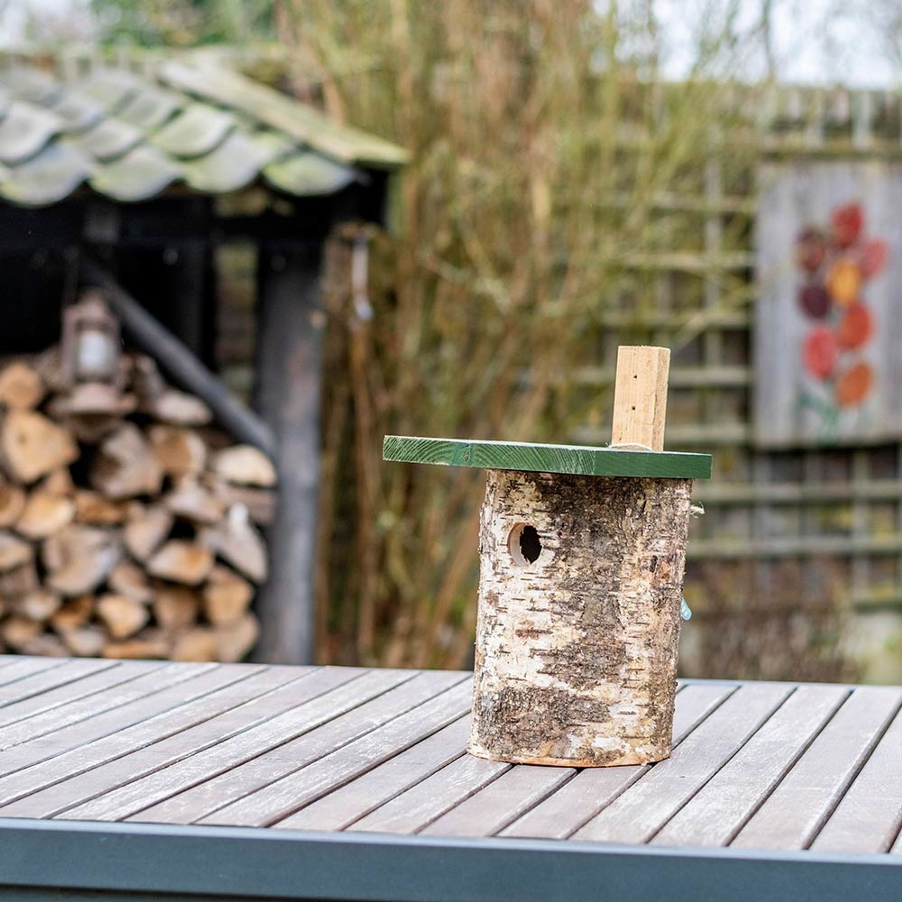 Birken-Nistkasten 32 mm | Vogelhaus Birkenholz | CJ Wildlife