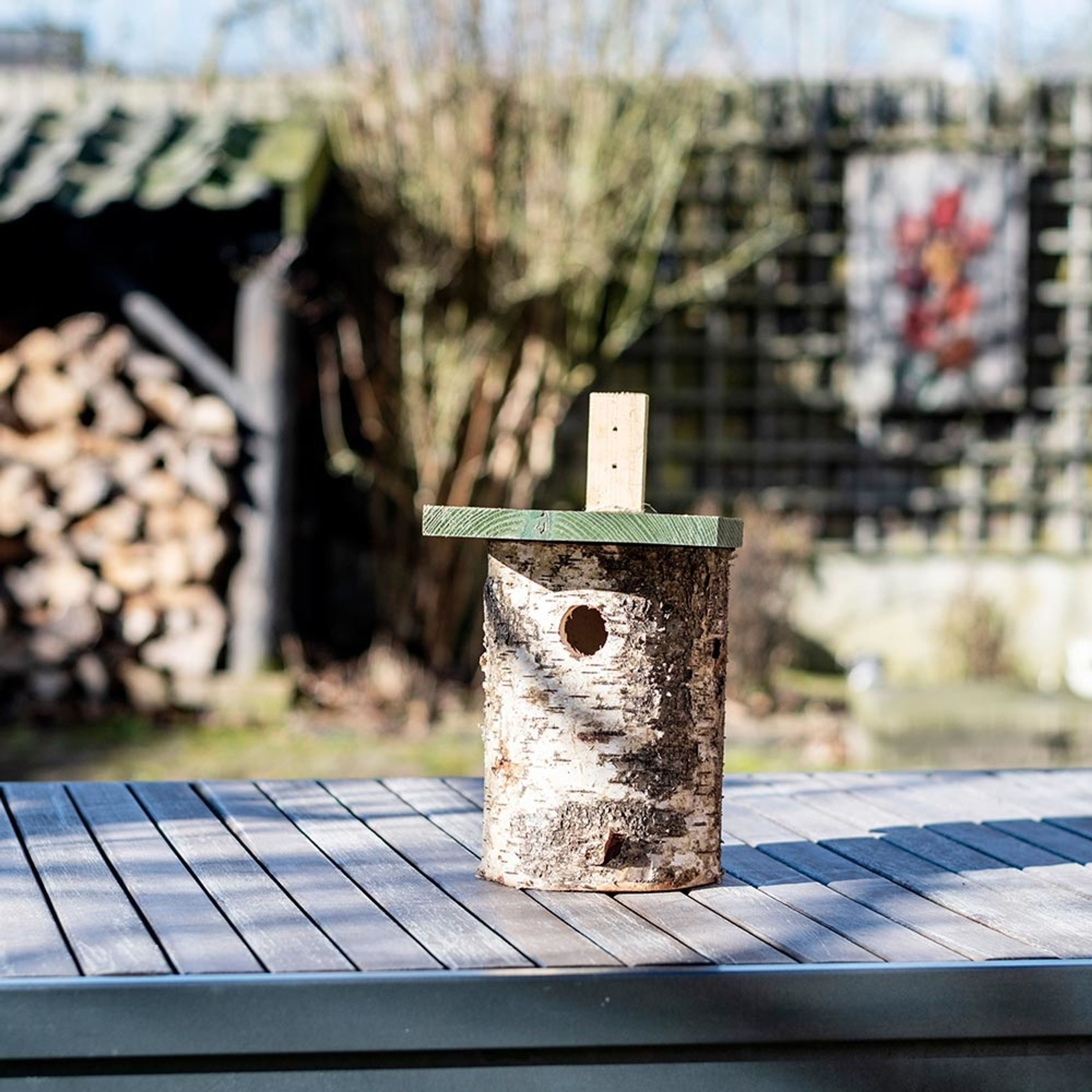 Birken-Nistkasten 32 mm | Vogelhaus Birkenholz | CJ Wildlife