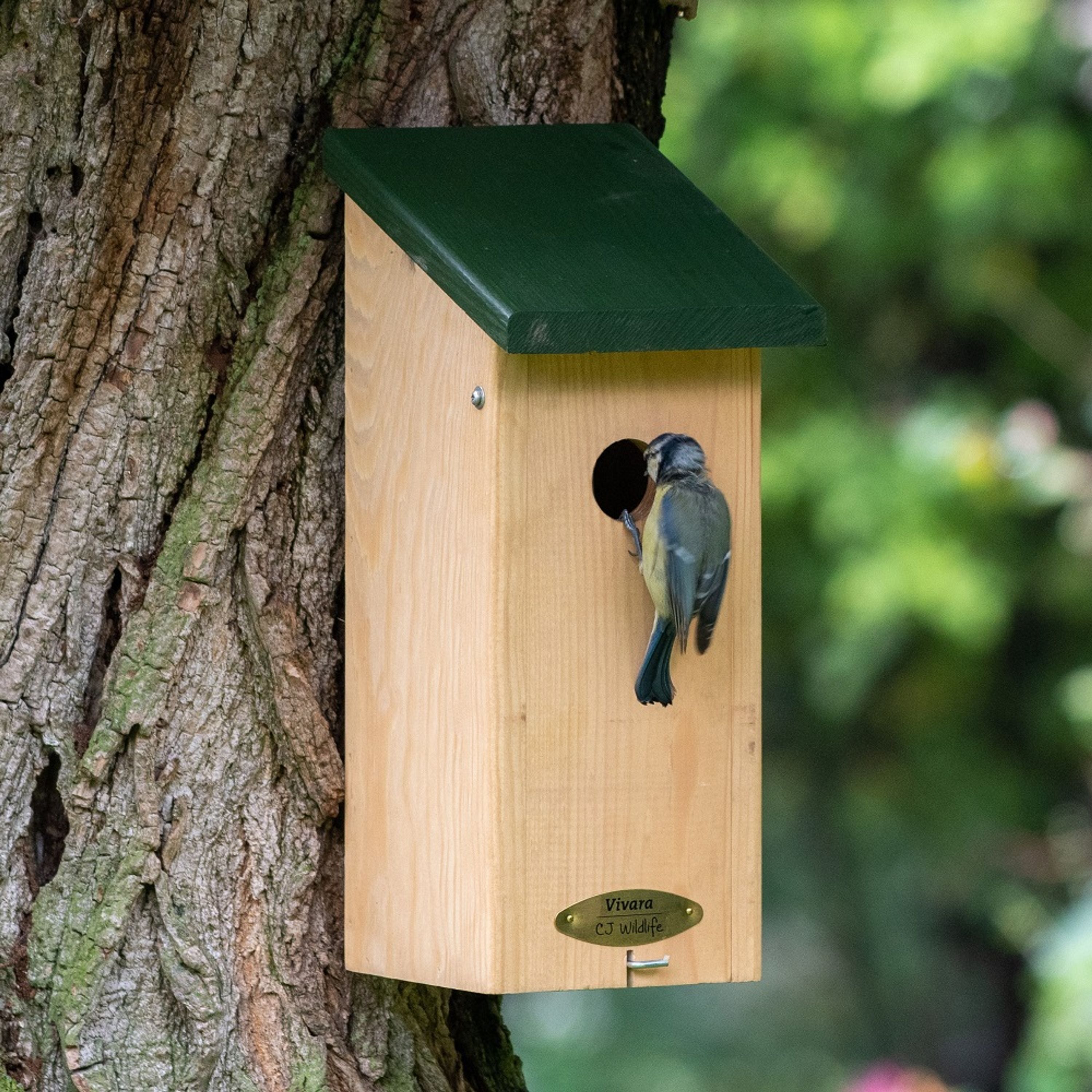 Comparer les prix de Nichoir San Diego 32 mm | Nichoir Allongé | Nichoir oiseaux | Nichoir bois | Vivara