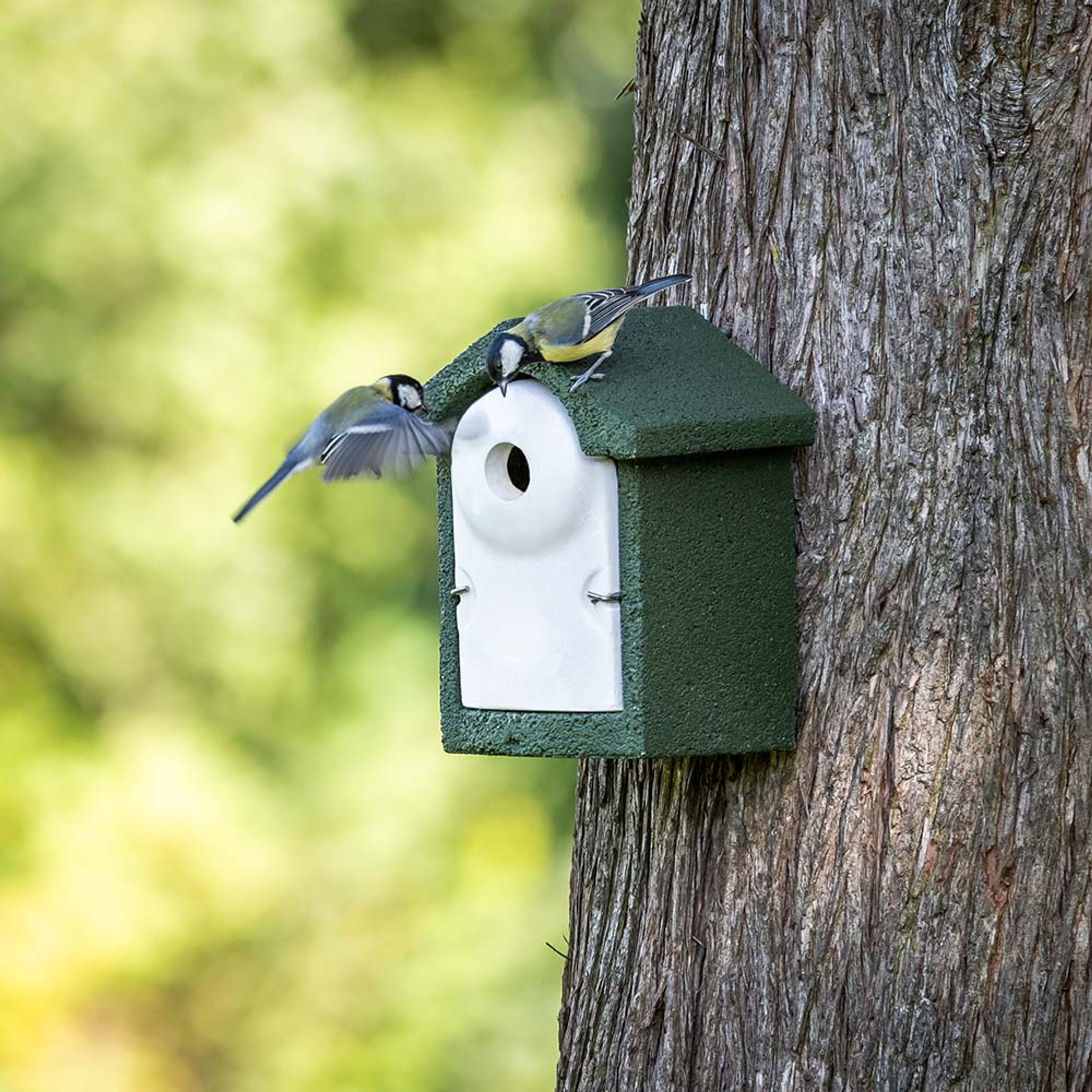 National Trust WoodStone 32mm Nest Box - Green