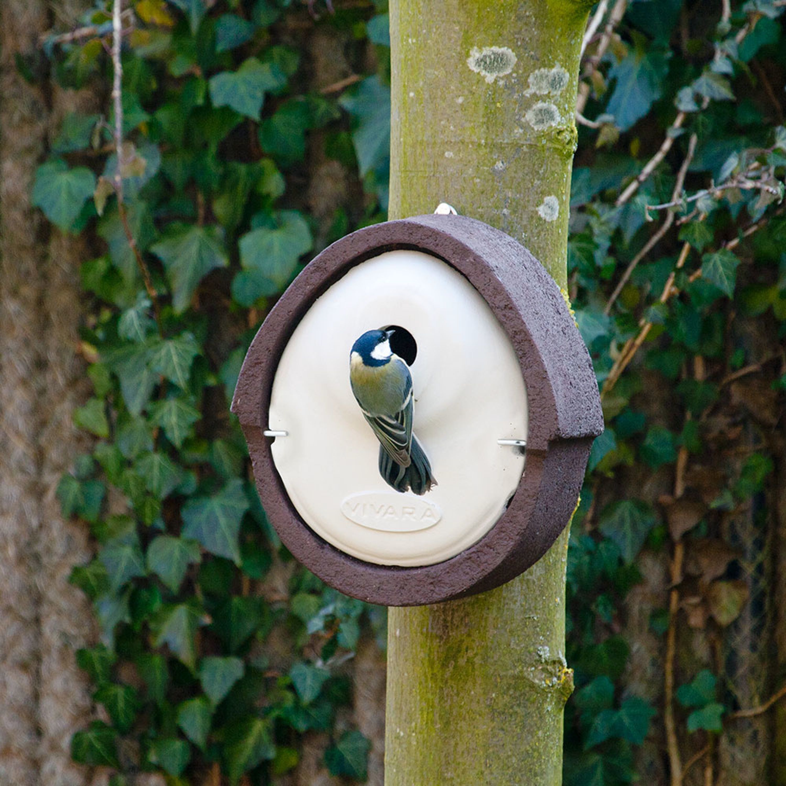 Meilleurs prix pour Nichoir Alicante WoodStone ® 32 mm - Brun | CJ Wildlife