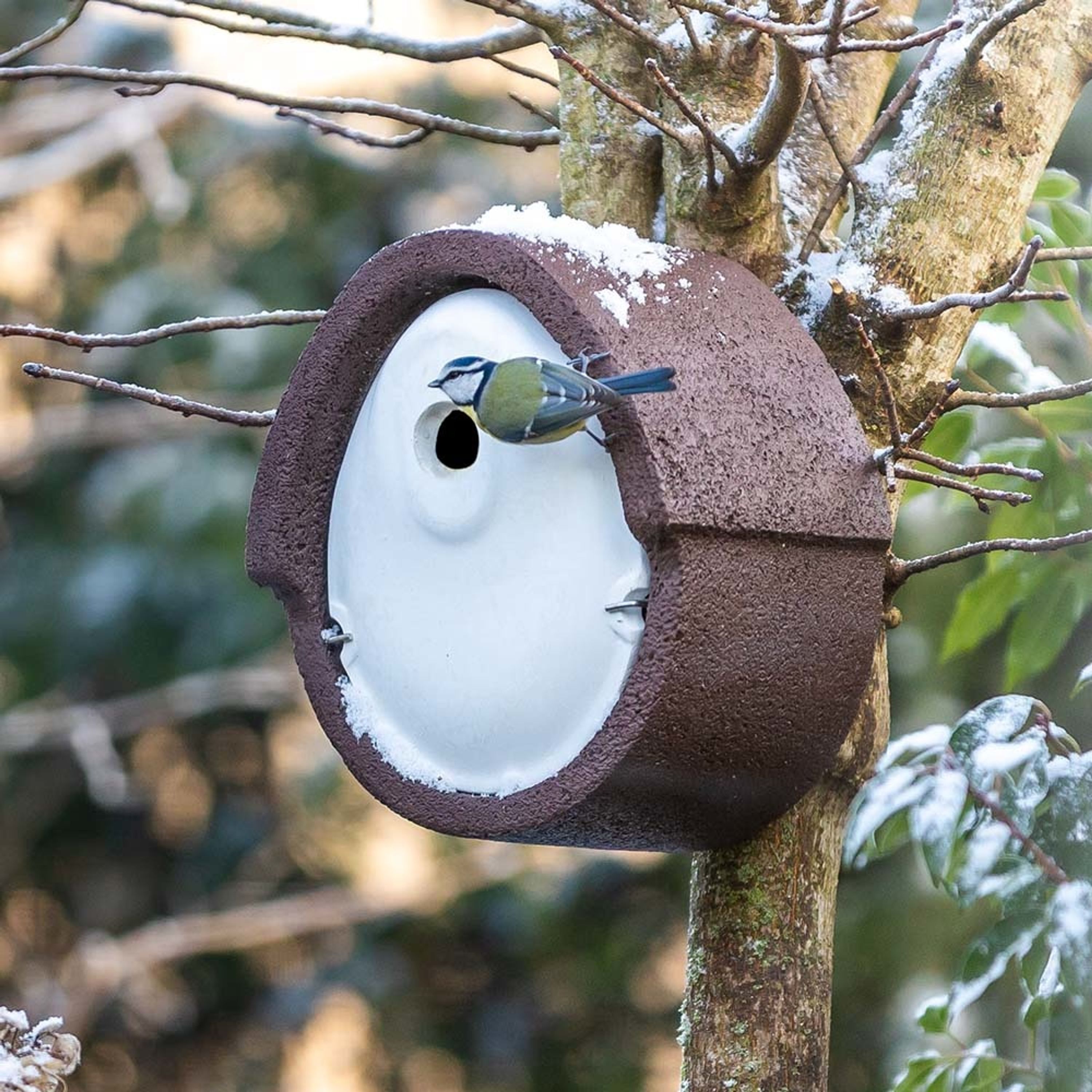 Nistkasten „Alicante“ WoodStone 32 mm Braun | Vogelhaus Holzbeton | CJ Wildlife