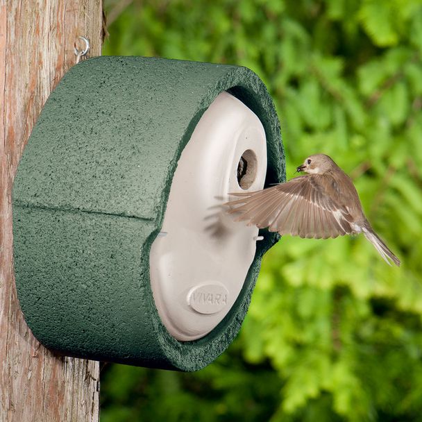 WoodStone  Alicante 32mm Nest Box - Green