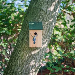 Nistkasten Köln 32 mm