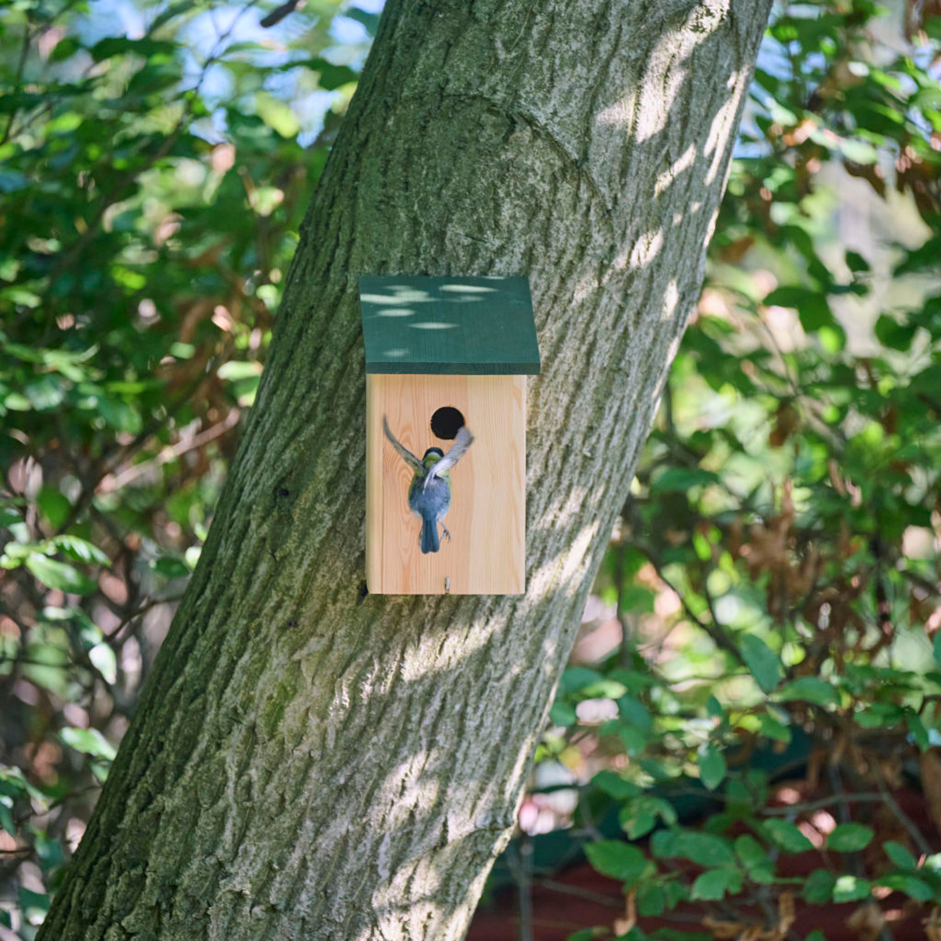 Comparer les prix de Nichior Cologne 32mm | CJ Wildlife