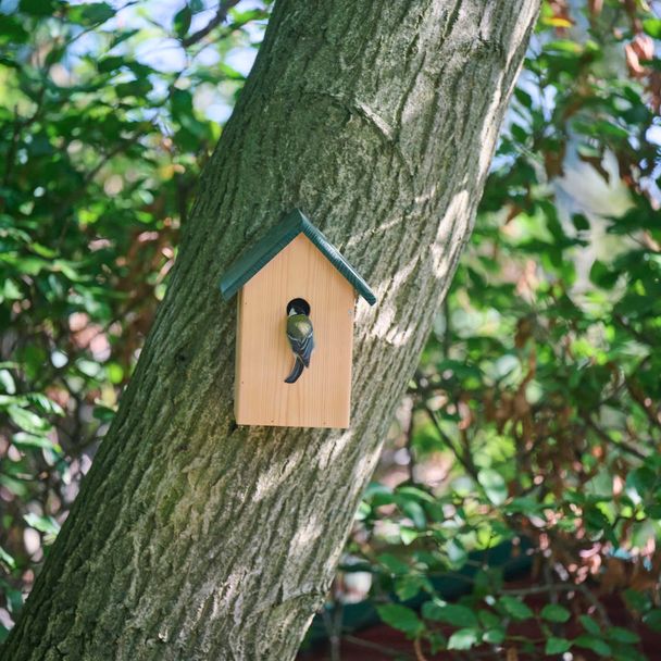 Hannover Nestbox 32mm
