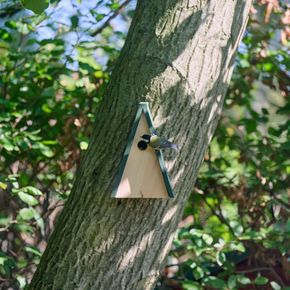 Hannover Nestbox 32mm