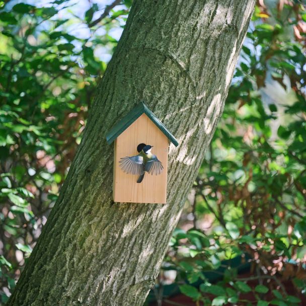 Nistkasten Hamburg 32 mm