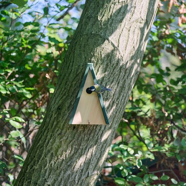 Hamburg Nest Box 32m