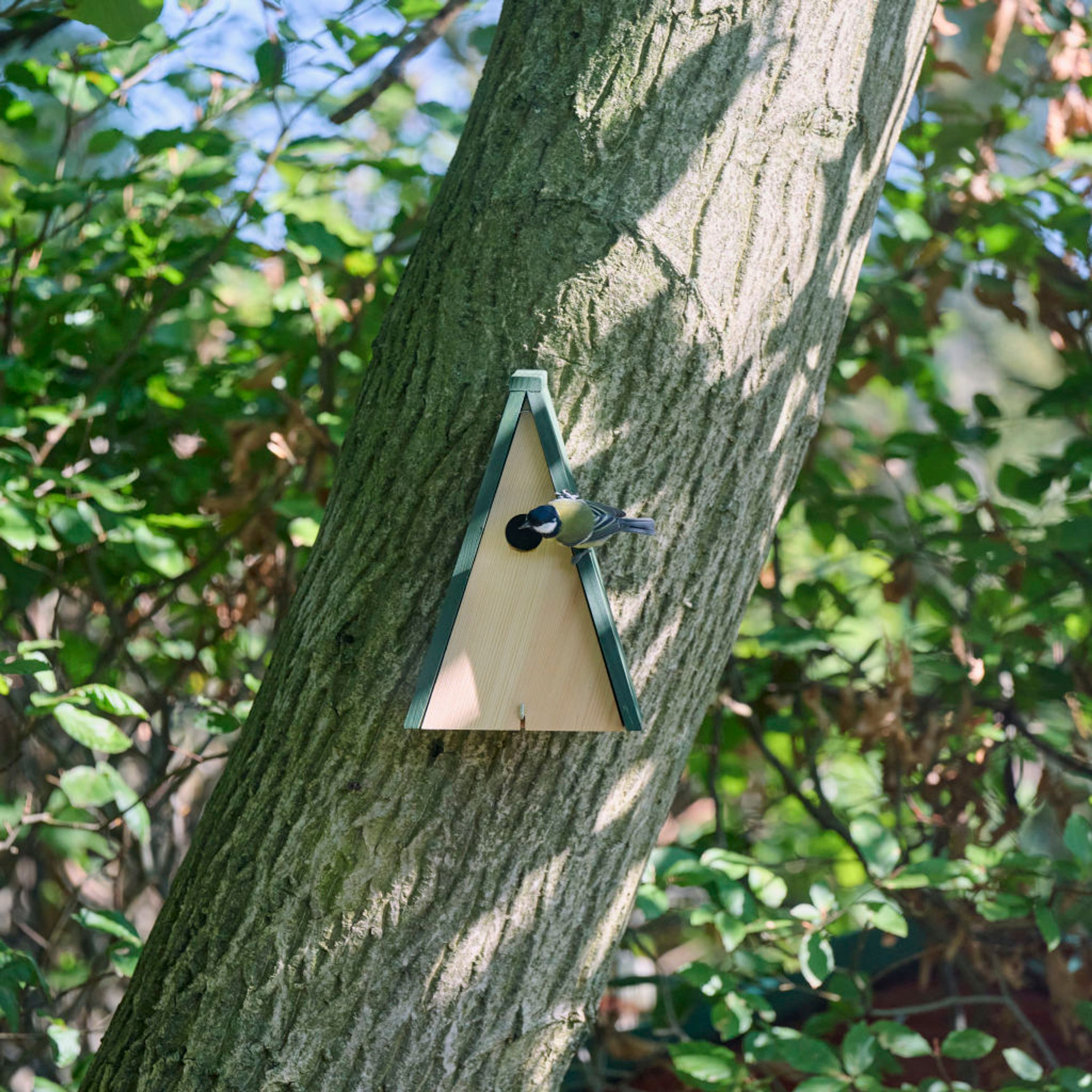 Comparer les prix de Nichoir Hambourg 32mm | CJ Wildlife