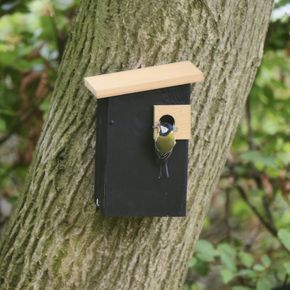 Alura Nestkast Ignia - zwart 32 mm