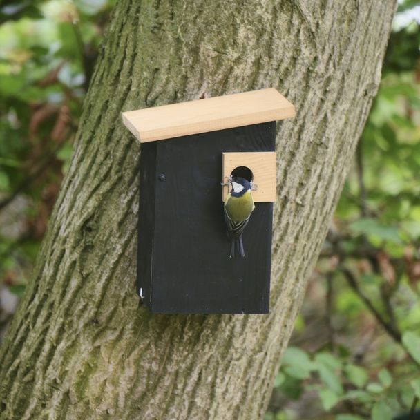 Alura Nistkasten „Ignia“ - schwarz 32mm