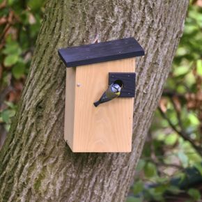 Alura Nestkast Ignia - Naturel 32 mm