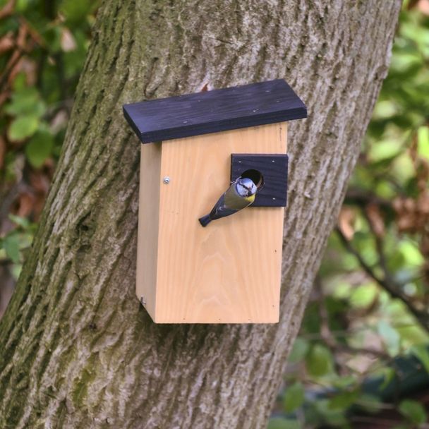 Nichoir Alura - Ignia - Naturel 32mm