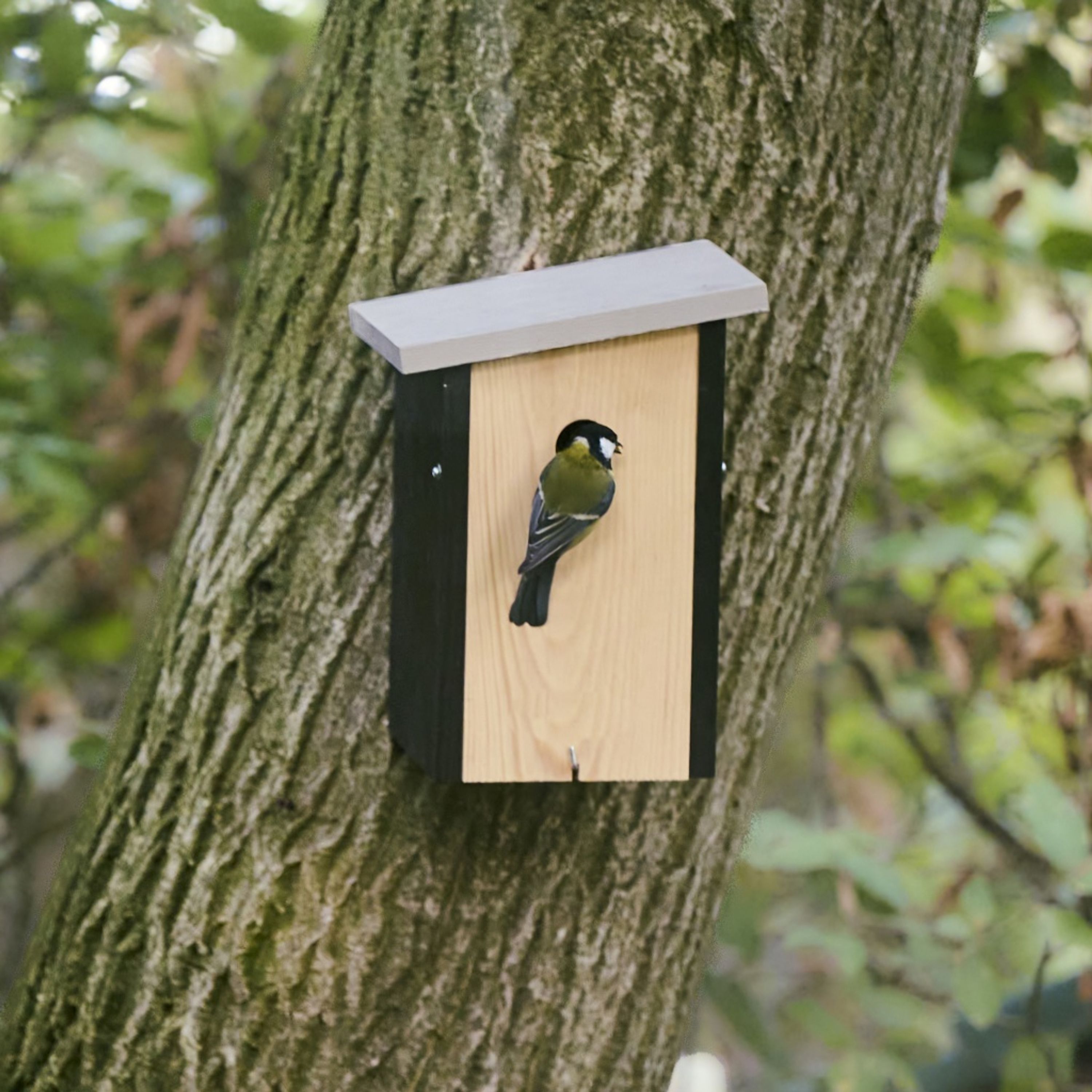 Comparer les prix de Nichoir Alura - Elysia - noir 32mm | CJ Wildlife